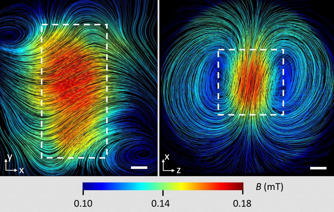 Verlauf der magnetischen Feldlinien im Inneren eines supraleitenden Blei-Quaders - vergrerte Ansicht